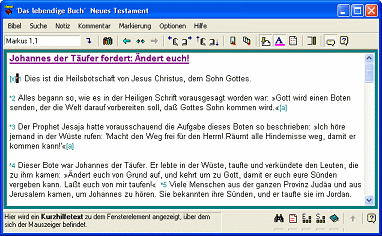 Programmfenster